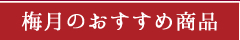 今月のおすすめ商品